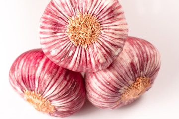 Fresh Garlic over a white background