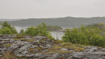 Saltsraumen, Küste, Sommerferien, Norwegen, Skandinavien
