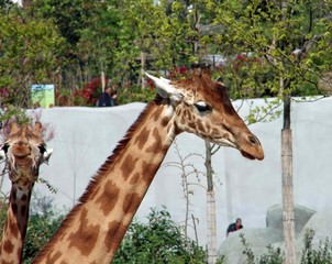 Zoo de Paris