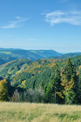 Obraz premium Blick von der bekannten Schwarzwaldhochstrasse