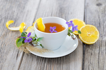 Viola