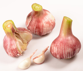 Fresh Garlic over a white background