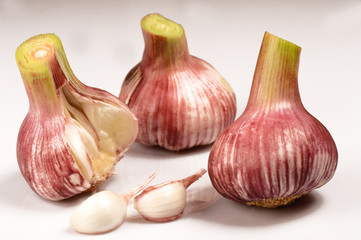 Fresh Garlic over a white background