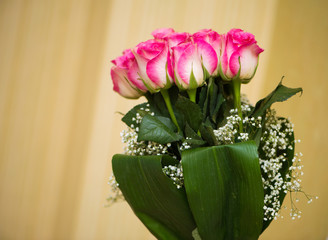 Nice roses in celebration concept