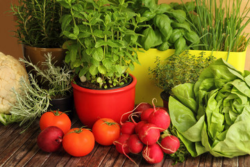 homegrown herbs and vegetables