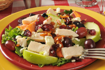 Salad with grilled chicken