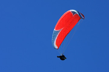 paraglider