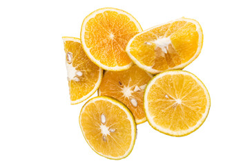 oranges on a white background