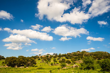 sardinian necropolis natural landscape