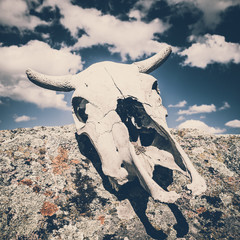 sardinian necropolis natural landscape