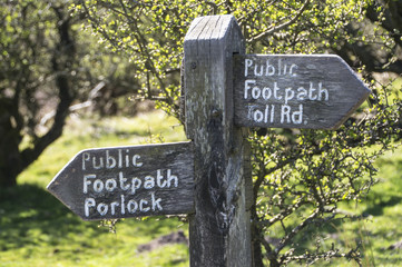 wooden public footpath sign on Porlock hill