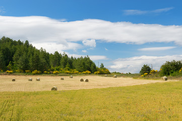 Rural French landscape