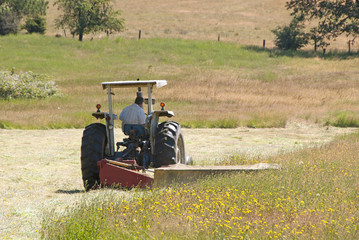 Obraz premium Cutting Hay
