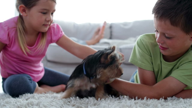 Siblings playing with puppy and bone with their mother reading o
