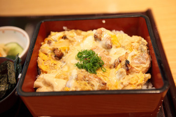 Fried pork on rice butadon