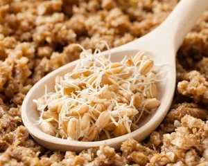 Fotobehang wooden spoon with wheat sprouts and ground sprouted grains © chamillew