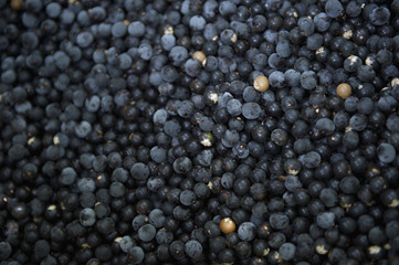 Açaí Acai Berries Brazilian Farmers Market