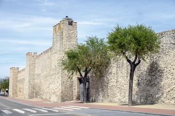 Olmedo walls