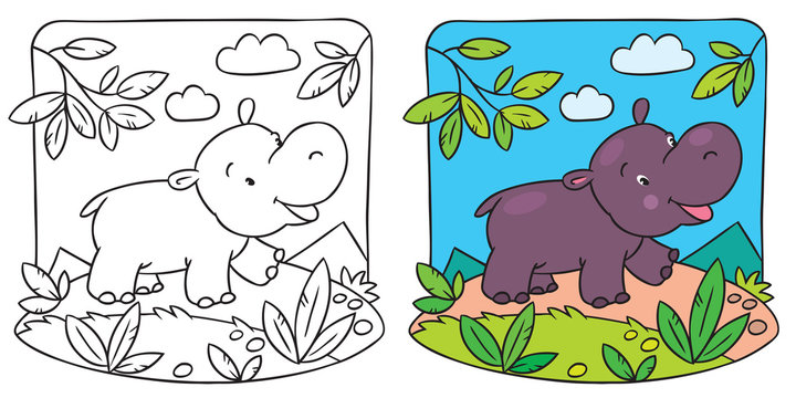 Little hippo coloring book