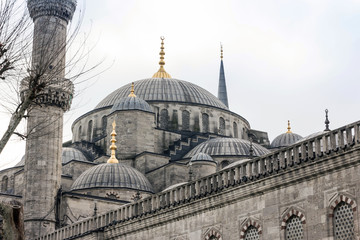 Fototapeta na wymiar the blue mosque of Istanbul