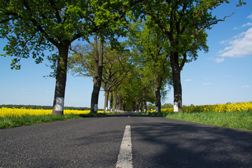Bundesstrasse im Frühling, Deutschland
