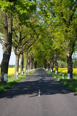 Bundesstrasse im Frühling, Deutschland