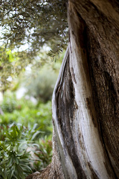 lut.500px.com/.http