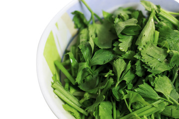 celery is a vegetable