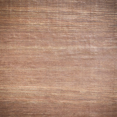 wood texture of wall with natural patterns
