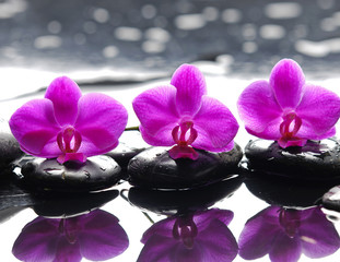 Three orchid flower and stones with reflection in water drops