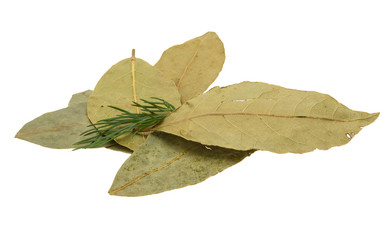 Fototapeta premium Laurel leaves heap