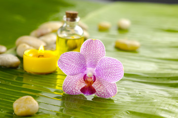 Obraz na płótnie Canvas flower orchid with set of stones on banana leaf