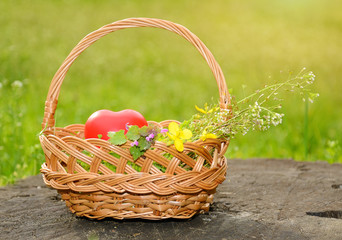 Fototapeta na wymiar Spring basket with heart shape