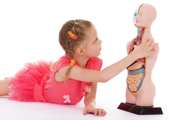 Young girl studying the structure of man.