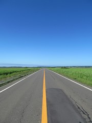 草原を貫く道