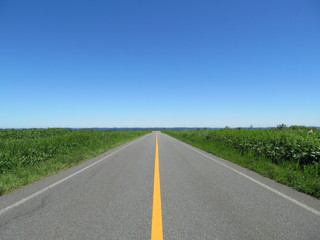 草原のなかの道