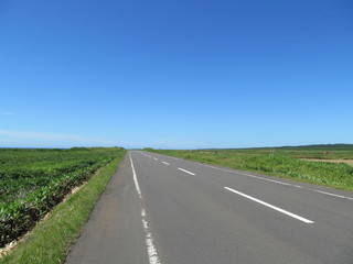 北海道のオロロンライン