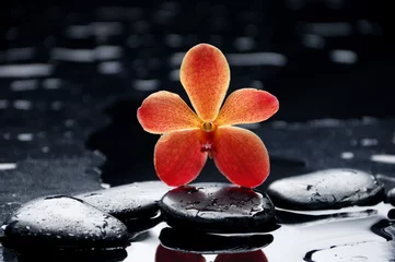 Schilderijen op glas Zen stones and gorgeous orchid © Mee Ting