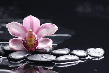 Obraz na płótnie Canvas Macro of white orchid and zen stones on wet background