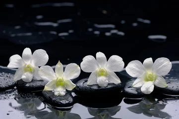 Foto auf Acrylglas vier weiße Orchideen mit Steinen und nassem Hintergrund © Mee Ting