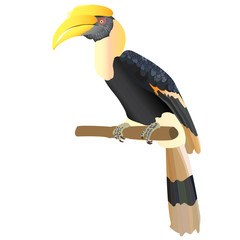hornbill VECTOR © attaphong