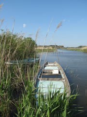 Fototapeta premium 印旛沼とボート