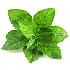 Fresh mint © Maks Peoplenko