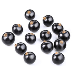 black currant berries