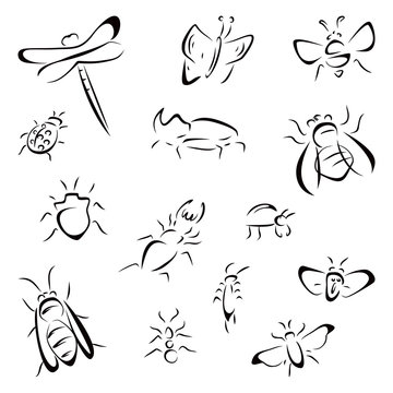 Collection of different insects black icons