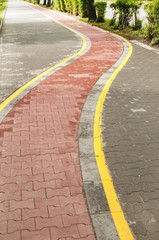 Marked bicycle path as part of city pedestrian zone