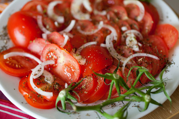 slices of tomatoes with the onion and herbs