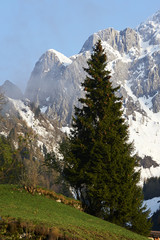 monte pizzo camino