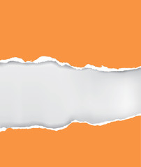 Vector ripped paper