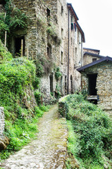 Fototapeta na wymiar Abandoned houses, Apricale, Italy